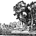 Schiermonnikoog