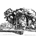 Schiermonnikoog